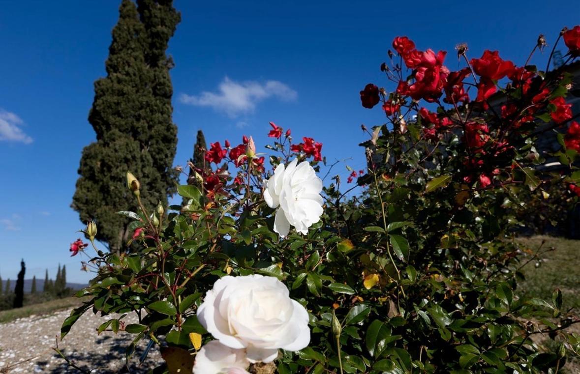 Agriturismo Il Ghiaccio Suvereto Zewnętrze zdjęcie